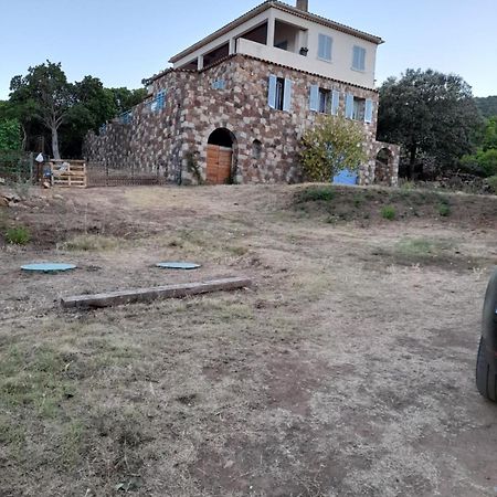 Casa Ghjuvanna Galeria (Corsica) Exteriér fotografie